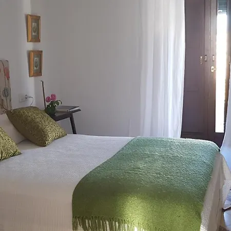 Bed & Breakfast Danzantes